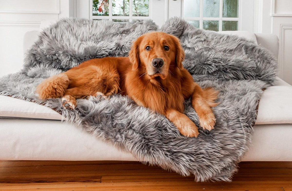 PupProtector Waterproof Throw Blanket for Dogs and Cats, Pet Blanket Cover for Couches, Sofas, Beds, Car Seats, Furniture, Calming Soft Faux Fur, Charcoal Grey, Large (80" L x 62" W)