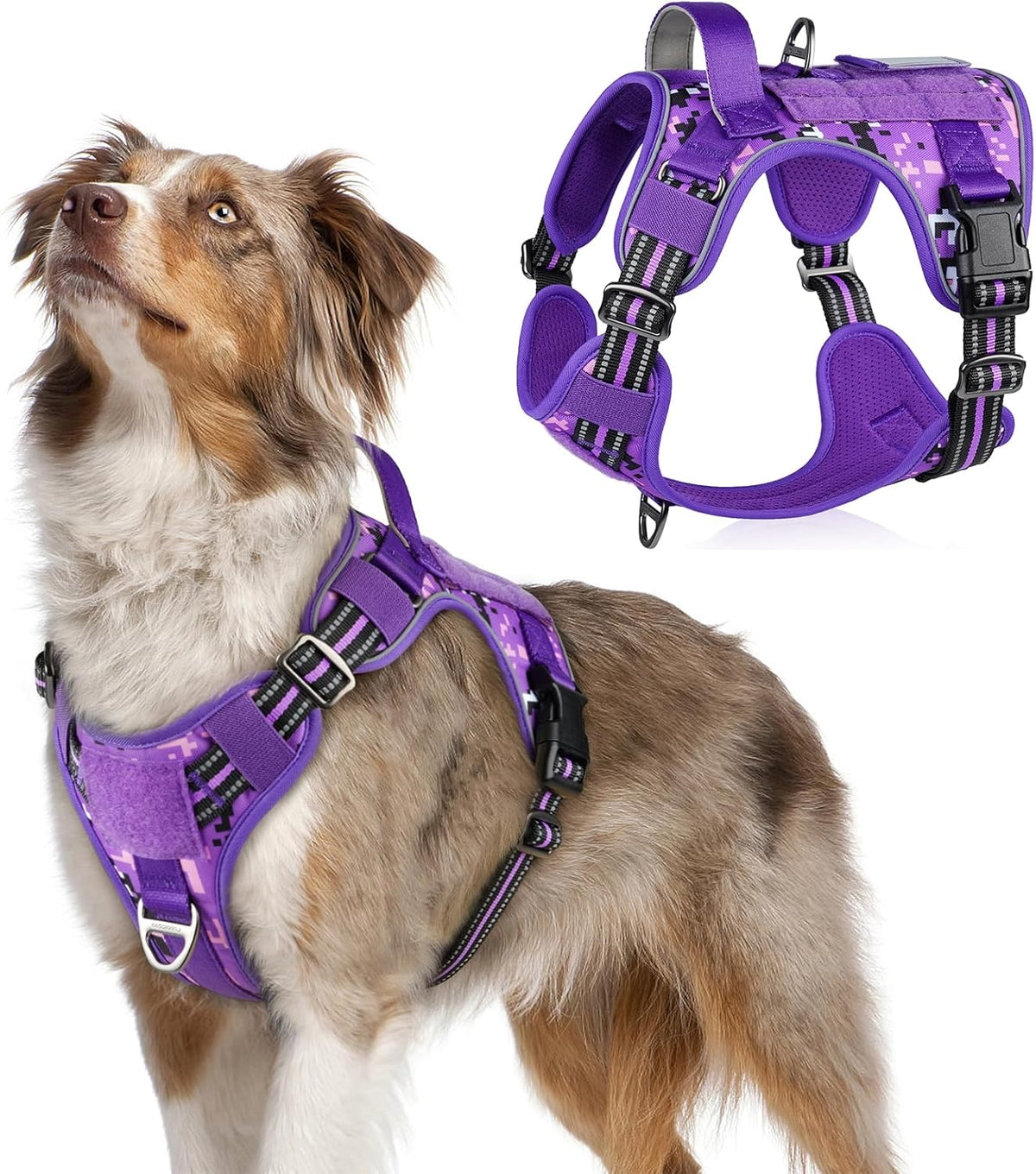rabbitgoo Tactical Dog Harness Medium Sized Dog, No Pull Military Service Vest with Handle & Molle, Easy Control for Training Walking, Adjustable Reflective Straps, Purple Camo, M