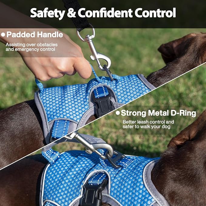 Escape Proof Dog Harness, Dachshund Harness, Reflective Dog Harness with Handle, Durable,Adjustable Vest for Small Medium Large Dogs Walking, Training, and Running Gear (Sea Blue,M)