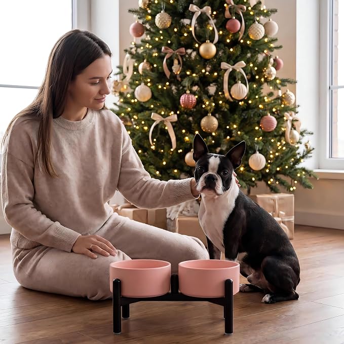 Raised Ceramic Dog Bowl Set with Stand, 3.5 Cups Elevated Dog Food Stand | 6.1'' Double Dog Food and Water Bowl Set, Non-Slip Dog Feeding Dishes for Small to Medium Breeds, 29.57 OZ, Grey