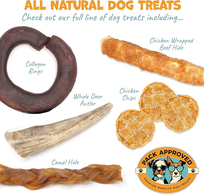 6" Braided Camel Sticks - Long Lasting Dog Chews for Aggressive Chewers - Rawhide Alternative, Grain Free, One Ingredient Treats - Great for Dog Dental Care - (10 Pack)