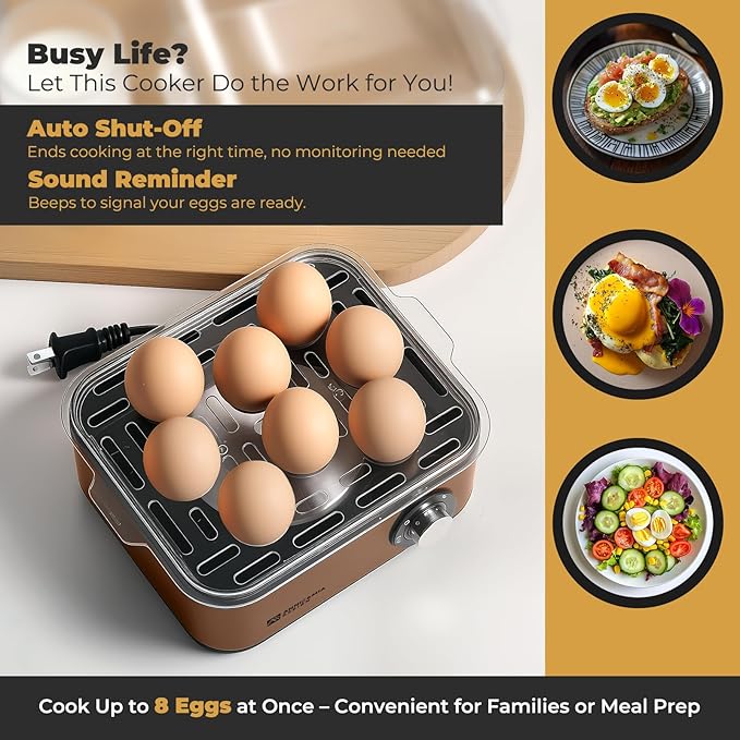 Annie & Mia Design Electric Egg Cooker, Stainless Steel 8 Egg Capacity egg