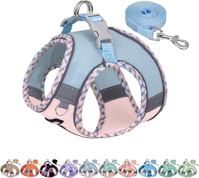 AIITLE XXS Dog Harness & Leash Set - Breathable Reflective No-Choke Small Dog Harness for Teacup Puppies, Indoor/Outdoor Use - Boston Terrier, Maltese, Chihuahua (Blue-Pink, XXS)