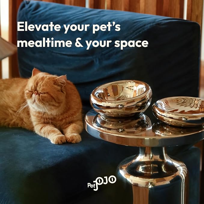 Pebble Pet Bowl Flat Chrome, Ergonomic Dog Cat Feeding Bowl, Flat-Faced Breed, Tilted Ceramic Pet Food Dish, Scooper Eater, Anti-Spill Design, Dishwasher Safe, Modern Pet Bowl, Dry & Wet Diet