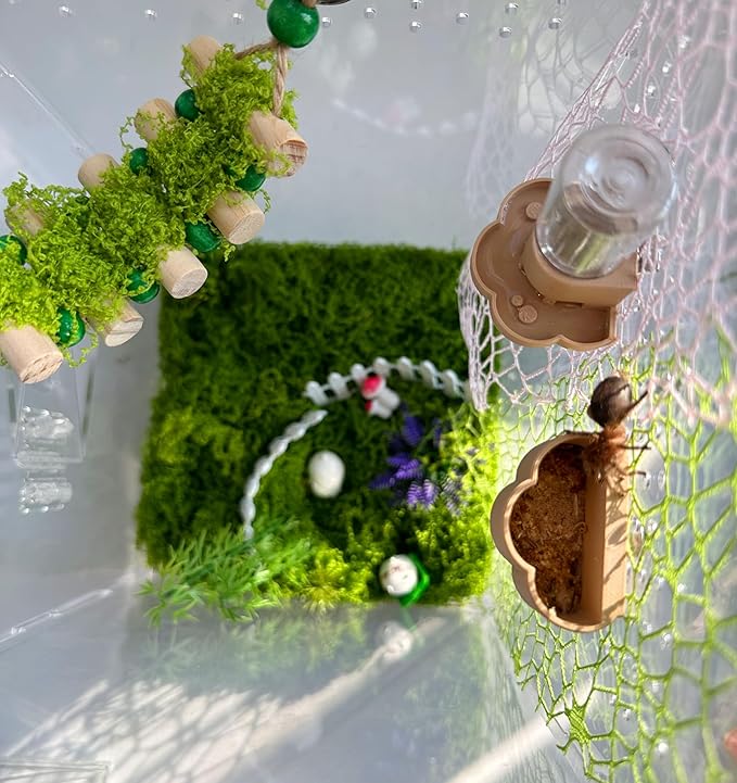 Jumping Spider Water Dispenser, Magnetic Hanging Feeder Dish with Cleaning Brush and Tweezers,Fits for Jumping Spiders,Arboreal Animals, and Other Small Animal Accessories (Green, 8ml)