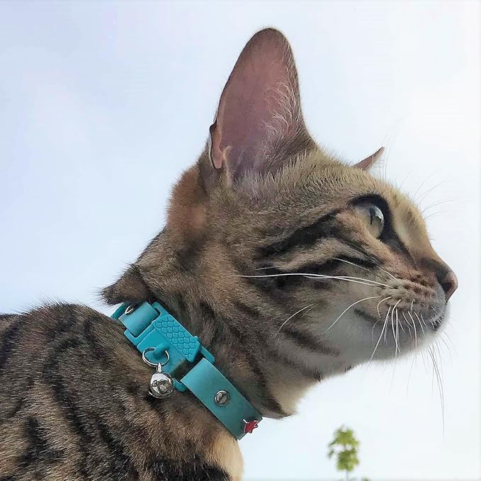 Kittyrama Aqua Cat Collar with Bell - Award Winner, Vet Approved, Breakaway Quick Release, Lightweight & Comfy