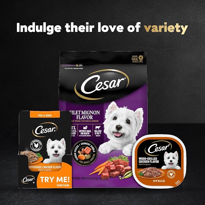 Cesar Filets in Gravy Wet Dog Food Filet Mignon Flavor, Rotisserie Chicken Flavor, and Wood-Grilled Chicken Flavor Variety Pack, 1.76 oz. Mini-Pouches (40 Count, Pack of 1)