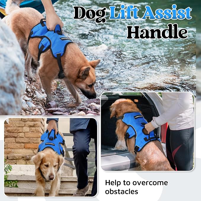 rabbitgoo Escape Proof Dog Harness for Large, No Pull with Lift Handle | No Escape, Full Soft Padded, Reflective Adjustable Vest, Leash Clip for Walking Hiking Training, Blue, Large