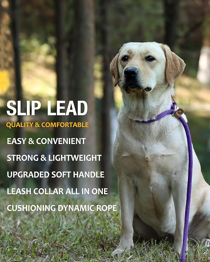 lynxking Dog Leash Slip Lead 5 6 8 FT Dog Training Leash Strong Heavy Duty Braided No Pull Training Lead Leashes for Small Medium Large Dogs