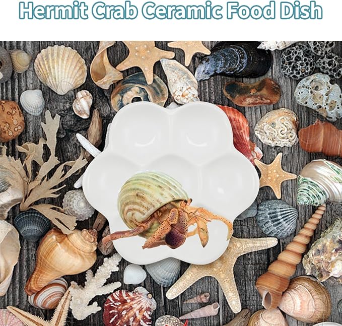 3.5" Hermit Crab Ceramic Food Dish,7 Compartments Ceramic Anti-Turning Food & Water Bowl for Hermit Crab Tarantula Snail,2Pcs