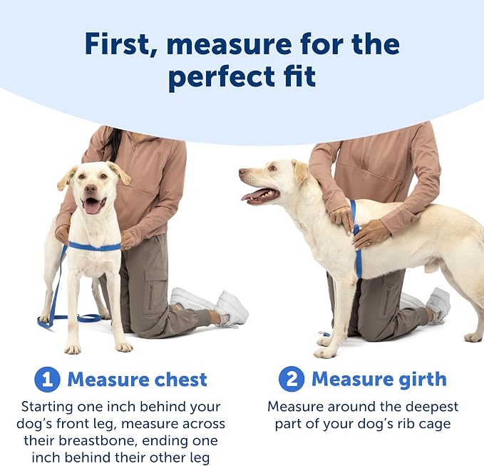PetSafe Easy Walk Harness, No Pull Dog Harness, Black, Medium/Large | Patented Martingale Loop Gives Gradual Shoulder Pressure to Stop Pulling, Front-Chest Leash Clip Prevents Gagging