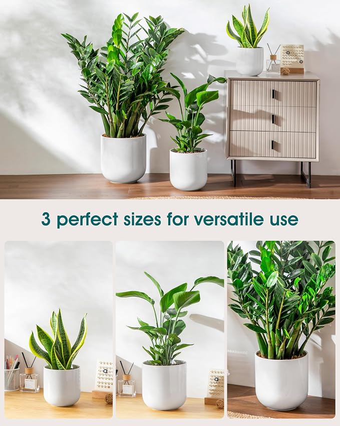 vancasso 6+8+10 inches Ceramic Plant Pots, Set of 3, Planters with Drainage Hole, Flower Pots Planters Pots for Indoor Plants, Modern Indoor Decorative Garden Pot, Home Decor, White