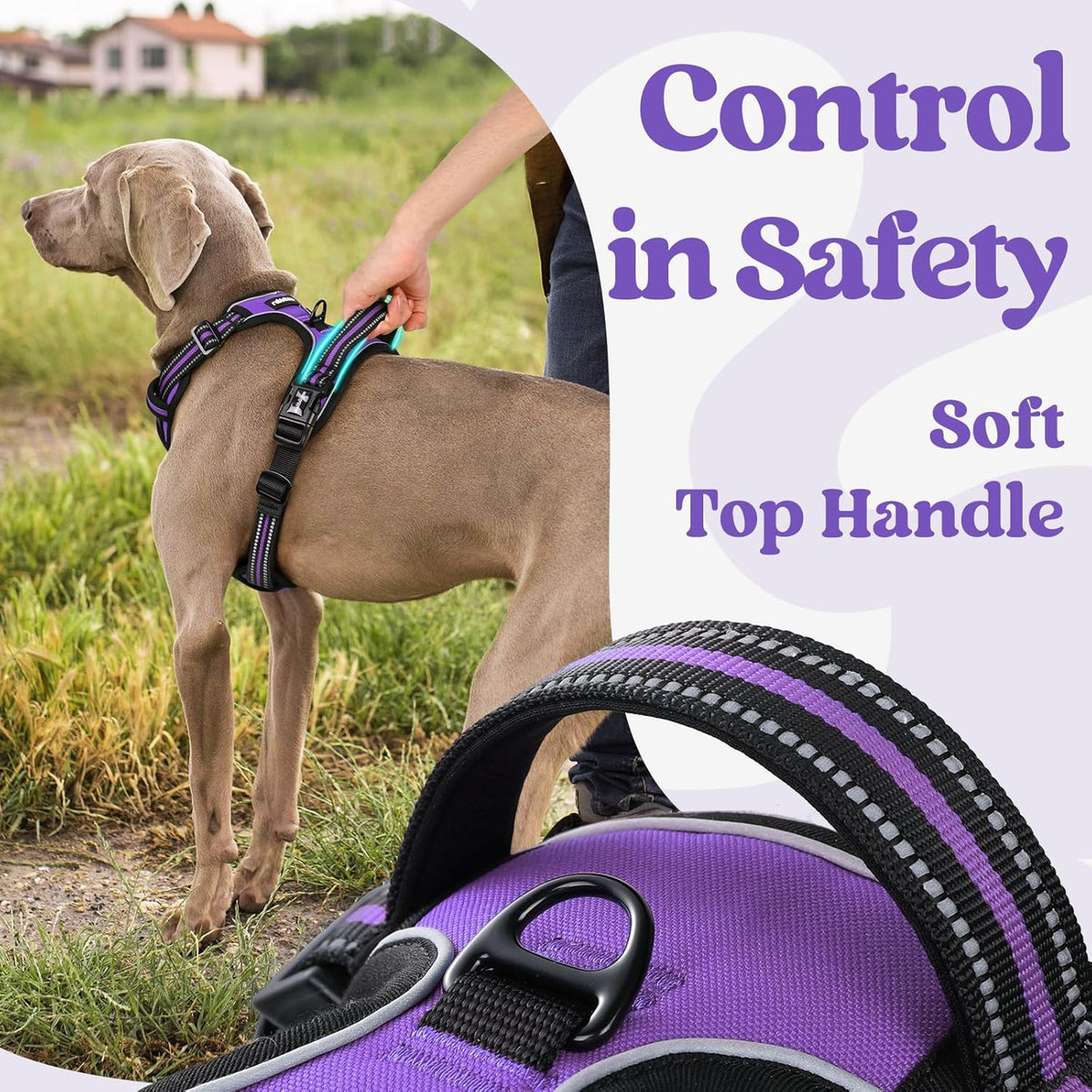 rabbitgoo Dog Harness Small Sized, No Pull Pet Harness with 3 Buckles, Adjustable Soft Padded Vest with Control Handle, Walking Reflective Pet Vest for Small Dogs, Purple, S