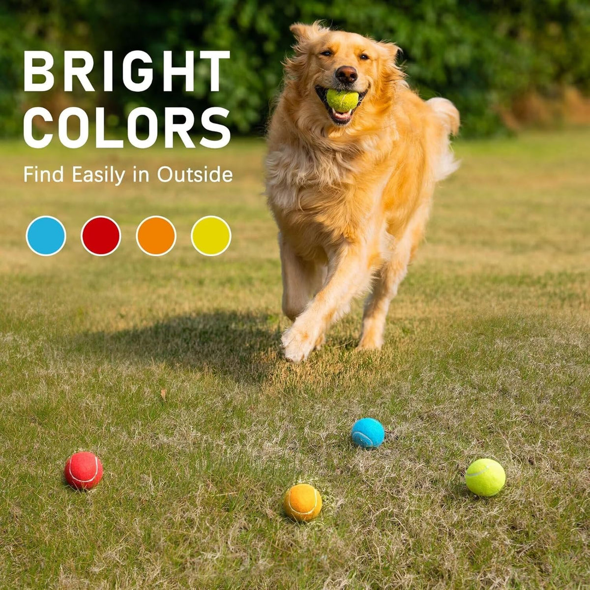 PrimePets Tennis Balls for Dogs, 2.5 Inch Thick Bouncy Ball for Dogs, Interactive Fetch Dog Toy Balls for Indoor Outdoor Play Fetch Dog Balls for Medium, Large Dogs