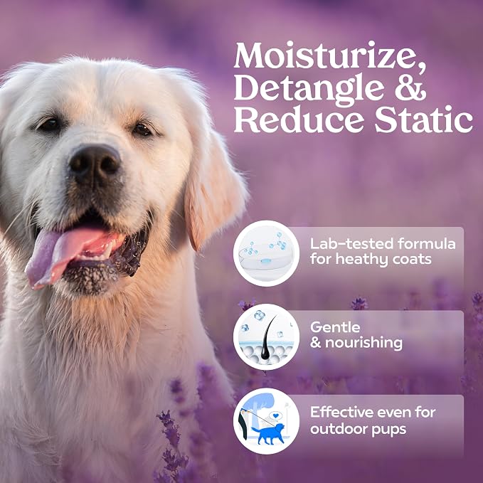 PAWFUME Dog Detangler Grooming Spray, Royal Lavender, 2-Pack | Hypoallergenic alcohol-free spray detangles, moisturizes and freshens coats, Dog Necessities for coat and fur care