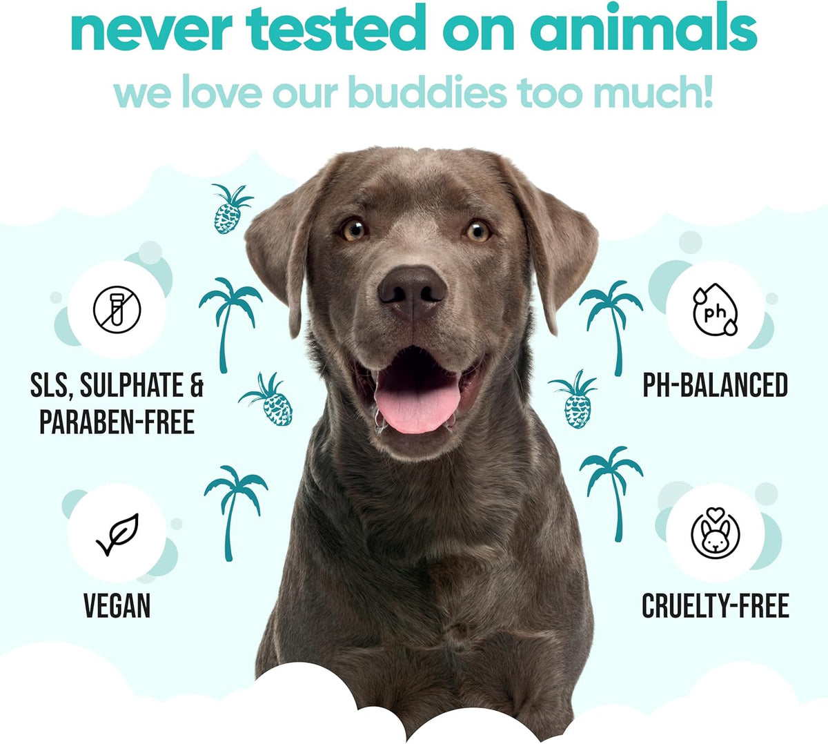 Tropical Dog Shampoo by Buddycare | Deep Cleansing Shampoo for Dogs | Tropical Scented | with Aloe Vera and Pro Vitamin B5 (50.72oz)