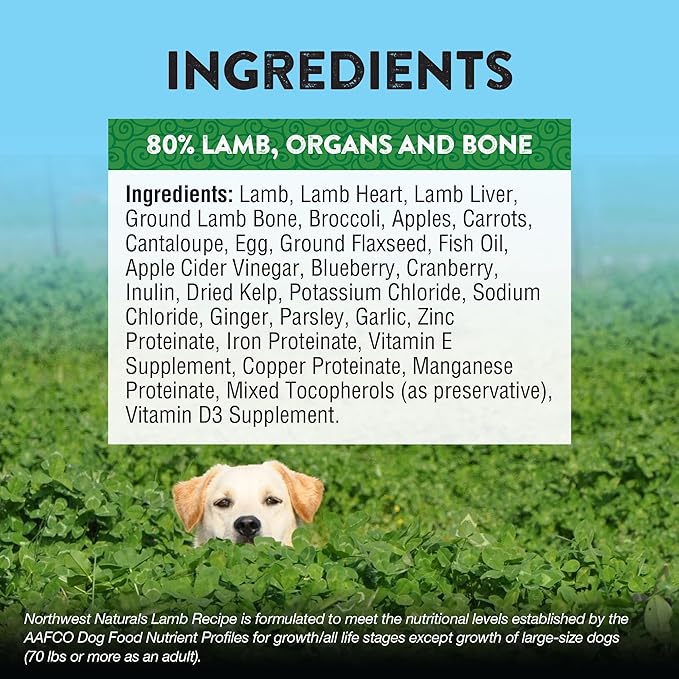 Northwest Naturals Freeze-Dried Lamb Dog Food - Bite-Sized Nuggets - Grain-Free, High-Protein, Human-Grade, Limited Ingredients, All Natural, Nutrient-Dense, Healthy & Nutritious - 12 Oz (Pack of 2)