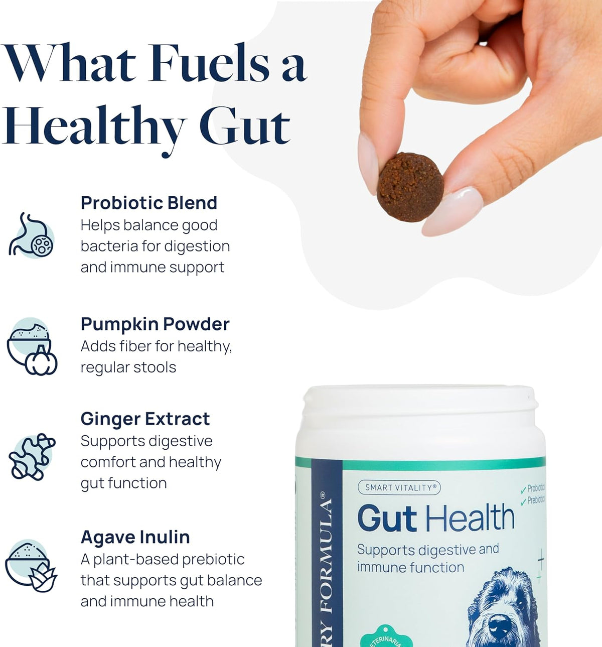 Veterinary Formula Gut Health Supplement for Dogs – Vet-Formulated Probiotic Chews with Digestive Enzymes & Fiber – Smart Vitality Supports Digestive Health, Gut Balance & Stool Quality, 60 Soft Chews