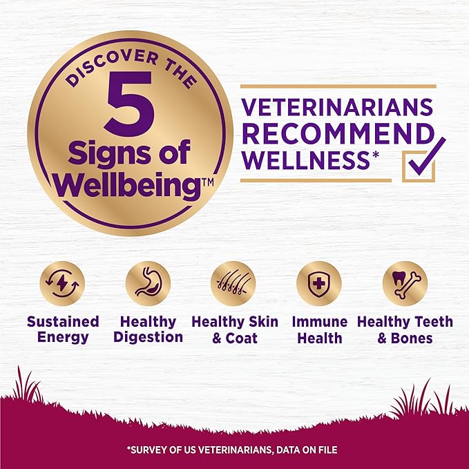 Wellness Complete Health Senior Dry Dog Food, Small Breed, Wholesome Grains, Natural, Age Advantage Turkey & Peas Recipe, (4-Pound Bag)