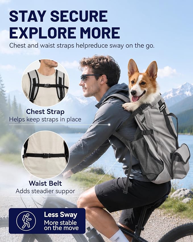 Dog Backpack Carrier for Small and Medium Dogs 4-Layer Safety Design (S) | Detachable Waist Bag with padded shoulder straps, breathable mesh and storage pockets for travel and hiking