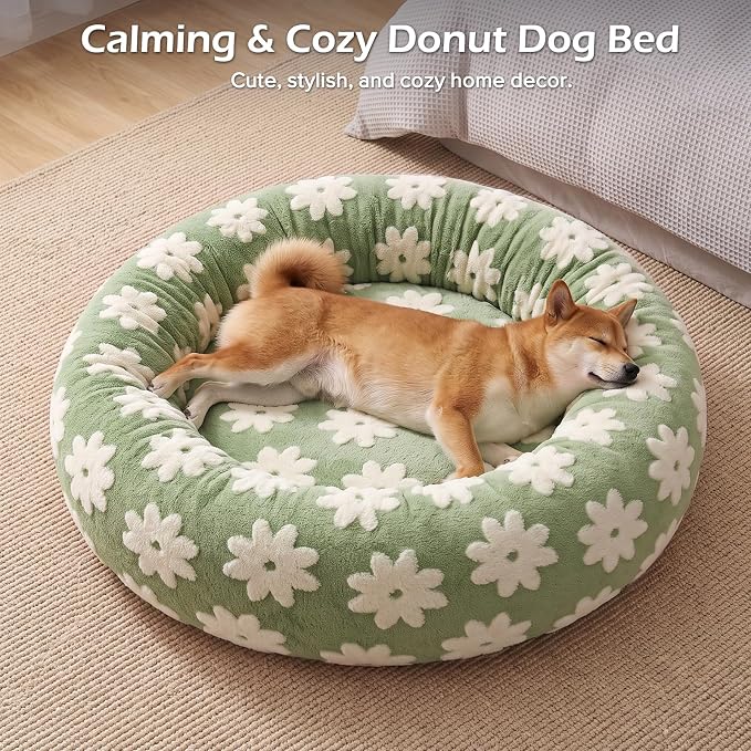 JOEJOY Jacquard Donut Round Small Dog Beds,Green 23x23x8in, Removable Washable Cover, Cute Pattern, Ultra Soft Fluffy Calming Pet Bed with Thick Supportive Bolster