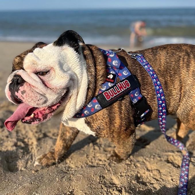 Adjustable Dog Harness– No Pull, No Choke – for English Bulldogs, French Bulldogs, Pugs & Broad-Chested Breeds – Easy, Safe Walks (Teal, Medium)