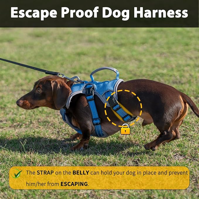 Escape Proof Dog Harness, Dachshund Harness, Reflective Dog Harness with Handle, Durable,Adjustable Vest for Small Medium Large Dogs Walking, Training, and Running Gear (Sea Blue,M)