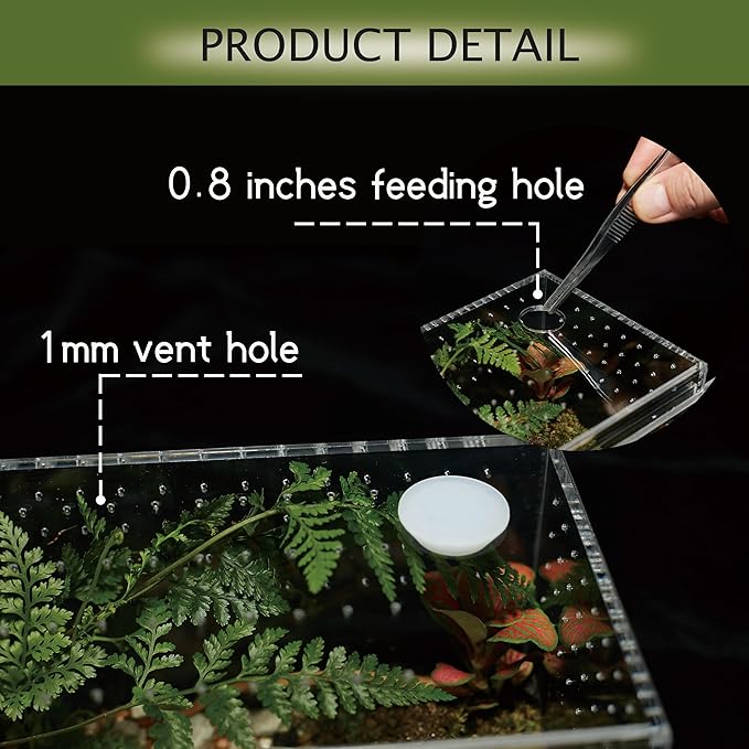 Acrylic Terrarium for Reptiles & Spiders – Small/Medium/Large Leak-Proof Enclosure (Horizontal/Vertical) | Ideal for Tarantulas, Jumping Spiders, Frogs & Geckos(Small, Horizontal)
