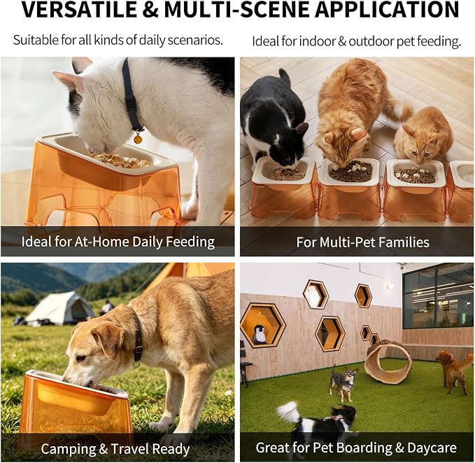 Cool Kids Elevated Cat Bowls – Raised Slanted Eco Fiber Disposable Set | Food-Grade Degradable Fiber, Cat Bowls for Small Dogs, Disposable No-Clean, Fits Camping & Travel, Multi-Pet & Stray Feeding