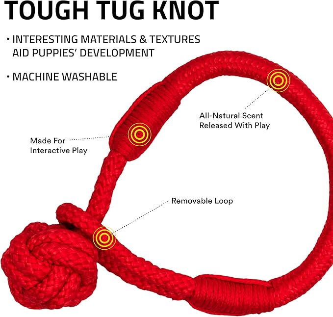 Playology Dog Toys | Puppy Toy Tough Tug Knot for Tug of War Designed for Young & Active Dogs | Medium Beef Scented Toy Made from Non Toxic Materials