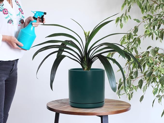 D'vine Dev Set of 2 Plants Pots, 8 Inch Ceramic Planter Pot for Plants with Drainage Hole and Saucer, Teal, 94-V-D-9