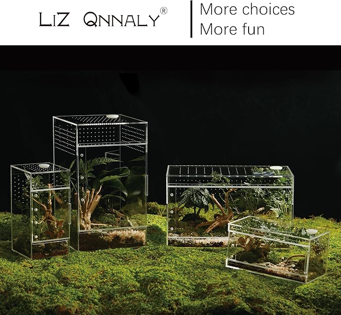 Acrylic Terrarium for Reptiles & Spiders – Small/Medium/Large Leak-Proof Enclosure (Horizontal/Vertical) | Ideal for Tarantulas, Jumping Spiders, Frogs & Geckos(Small, Vertical)