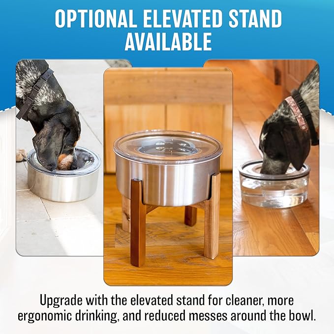 Stainless Steel Dripless Water Bowl with Tritan Plastic Lid, Holds 1 Gal, Reduces Spills & Trails Up to 85%+, Water Bowl for Medium Breed Dogs (21-50 lbs), The Original Slobber Stopper