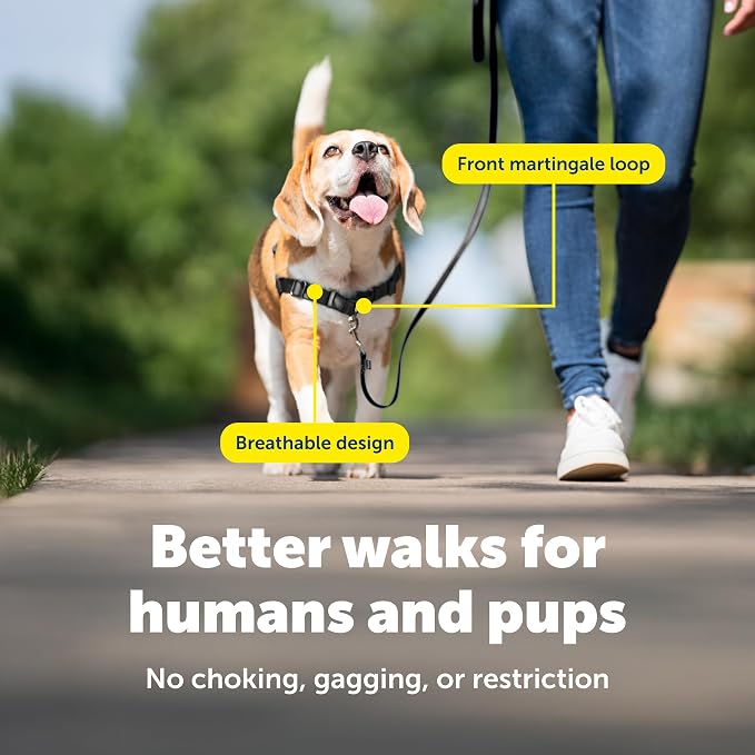 PetSafe Easy Walk Harness, No Pull Dog Harness, Deep Purple, Small/Medium | Patented Martingale Loop Gives Gradual Shoulder Pressure to Stop Pulling, Front-Chest Leash Clip Prevents Gagging