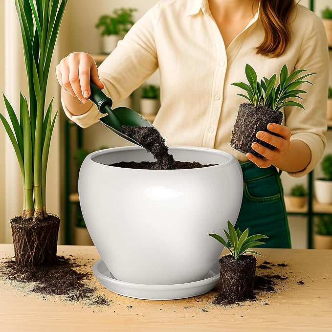 Deep Dream 10 Inch Plant Pot- Ceramic Planter Pot Round Plant Pots for Indoor Plants Outdoor Large Flower Pot with Drainage Holes & Trays, White
