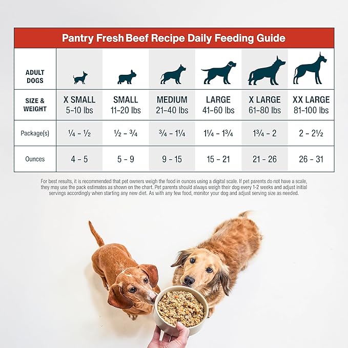JustFoodForDogs Pantry Fresh Wet Dog Food, Complete Meal or Dog Food Topper, Beef & Potato Human Grade Dog Food Recipe - 12.5 oz (Pack of 12)