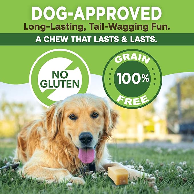 EcoKind Pet Treats Gold Himalayan Yak Cheese Dog Chew, Yak Dog Treats for Active Chewers, 100% Natural & Healthy Chew Sticks for Dogs, Assorted Set of Big & Small Yak (8 Sticks)