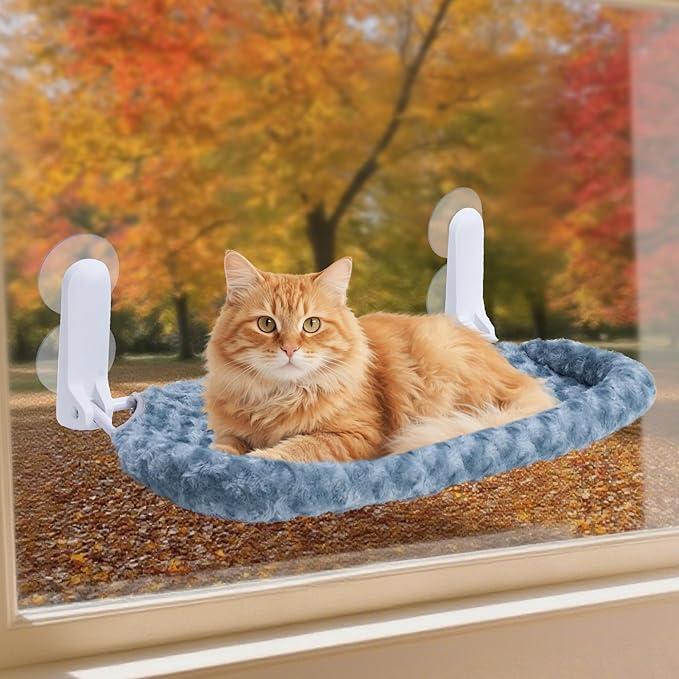 YUNIQUE Cat Window Perch with Cushion Rim, Upturned Edge Bracket, Portable Wall Hammock for Indoor Cat, Green