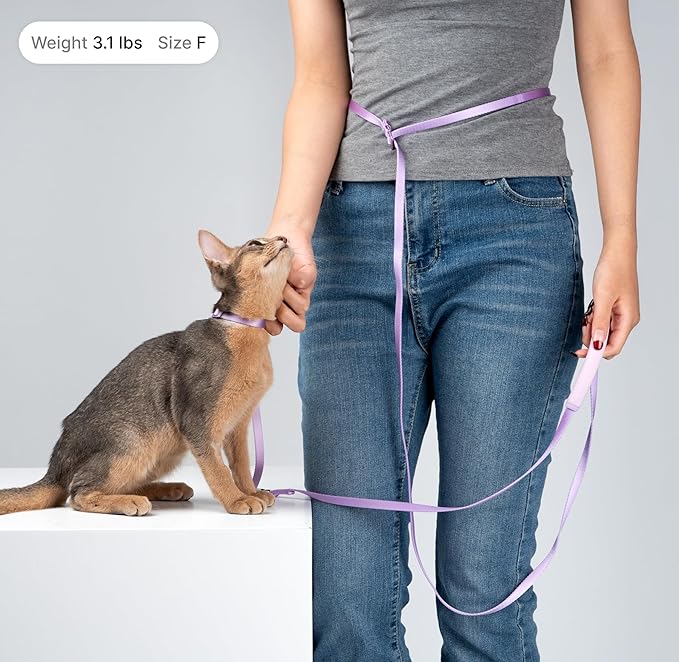 Cat Harness and Leash Set, Lightweight Escape Proof Cat Harness Leash with Padded Handle, Adjustable Cat Leash and Harness for Kitten Small Large Cats Walking Training (Sierra Blue, S)