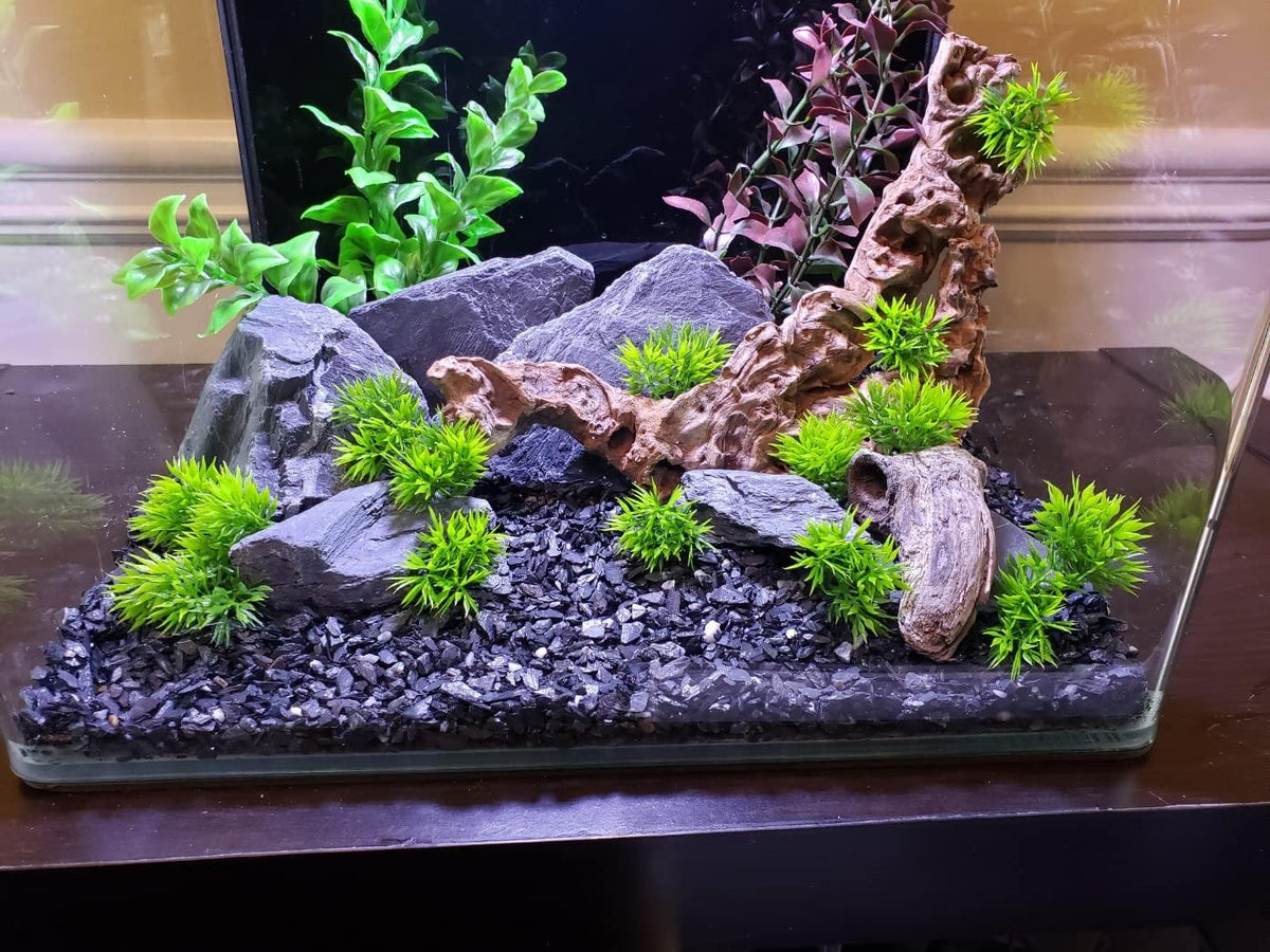 Natural Slate Stone 5 to 7 Inches - USA Sourced and Packaged for Aquascaping Aquariums, Terrariums, Paludariums, Reptile Enclosures, and Gardens (10lbs)