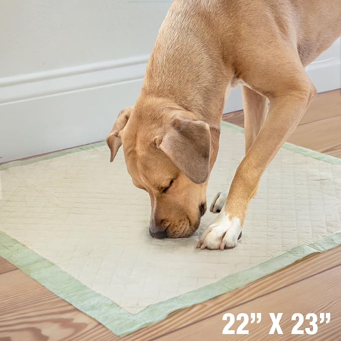 Four Paws Wee-Wee Superior Performance Eco Bamboo Dog Pee Pads, 14 Count | Earth friendly, bleach-free, dye-free, dog & puppy potty training pads, leak-proof, 24-hour protection pee pads, 22" x 23"