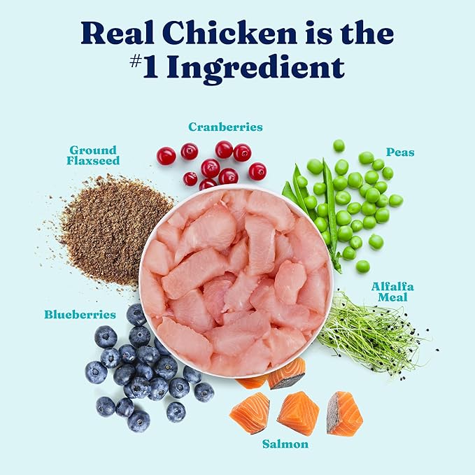 Solid Gold Sensitive Stomach Wet Dog Food for Adult & Senior Dogs - Grain Free Wet Dog Food w/Real Chicken, Salmon, Probiotics & Superfoods for Gut Health & Sensitive Stomach Support -6ct 12.5oz Cans