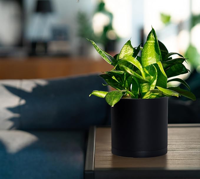 D'vine Dev 4 Pack 5.5 Inch Modern Plastic Plant Pots, Small Garden Planters for Plant with Drainage Holes and Saucers, Black Color, 74-Y-H-2