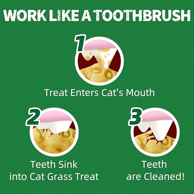 Just Try 36 OZ Cat Treats for Indoor Cats Hairball Control Natural Salmon Healthy Cat Grass Treats Kitten Snacks Training Biscuits Catnip for Cats Dental Care