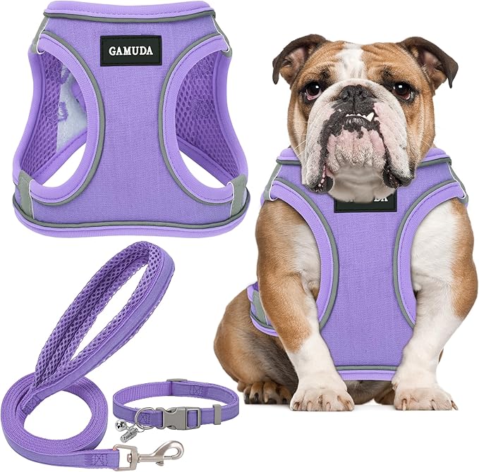GAMUDA Small Pet Harness Collar and Leash Set, Step in No Chock No Pull Linen Fabric Soft Mesh Dog Vest Harnesses Reflective for Dogs Puppy Cats Kitten Rabbit (Purple, XL)