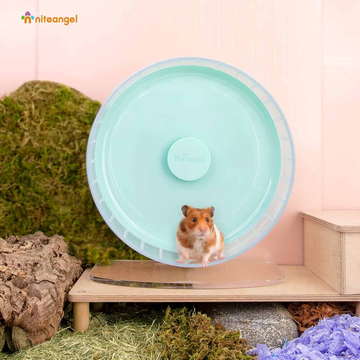 Niteangel Super-Silent Hamster Exercise Wheels: - Quiet Spinner Hamster Running Wheels with Adjustable Stand for Hamsters Gerbils Mice Or Other Small Animals (L, Mint Green)