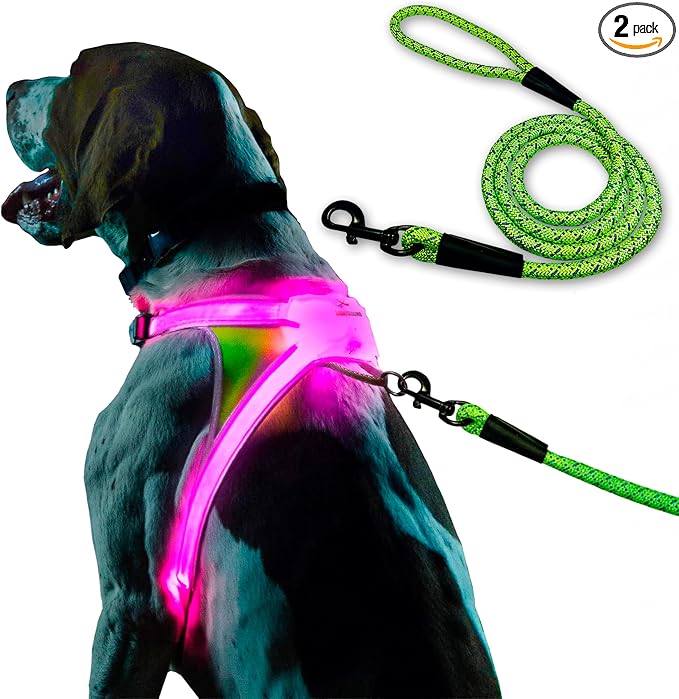 noxgear LightHound Light Up Reflective Dog Harness and Leash, Medium | 360° Light Up Reflective Dog Harness, 8 Colors & 6 Modes, USB Rechargeable, Adjustable, Rainproof, LED Fiber Optic