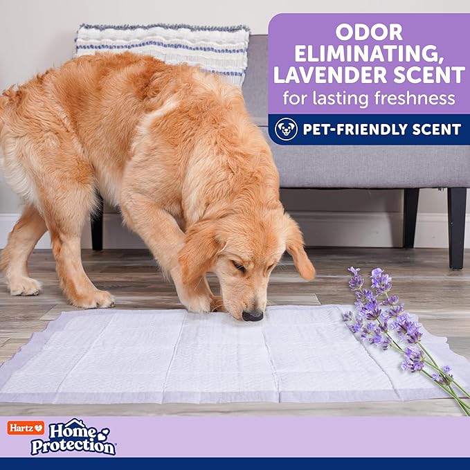 Hartz Home Protection Super Absorbent Odor Eliminating Lavender Scented No Leak Dog Pads, XXL 20 Count (Pack of 3)