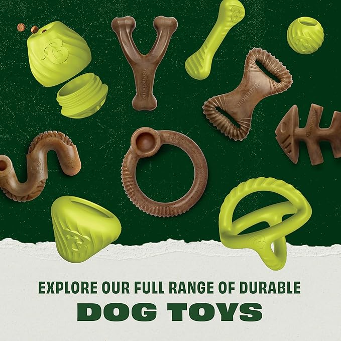 Benebone 2-Pack Rubber Ball