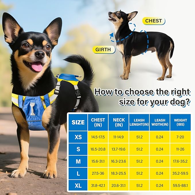 No Pull Dog Harness, 2 in 1 Retractable Harness with Auto-Lock, Reflective Breathable Mesh and Handle, Adjustable Leash Set for Small, Medium,Large Dogs,Cats (Color 2, S)